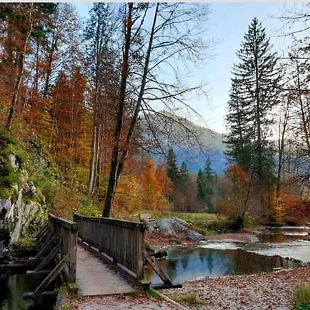Sarstein * Obertraun
